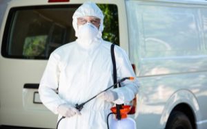 Emergency Pest Control, Pest Control in Belgravia, Westminster, SW1. Call Now 020 8166 9746