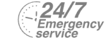 24/7 Emergency Service Pest Control in Belgravia, Westminster, SW1. Call Now! 020 8166 9746